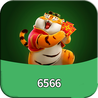 6566 Logo